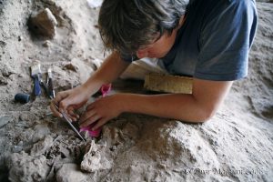 Read more about the article MA Program in Prehistoric Archaeology
