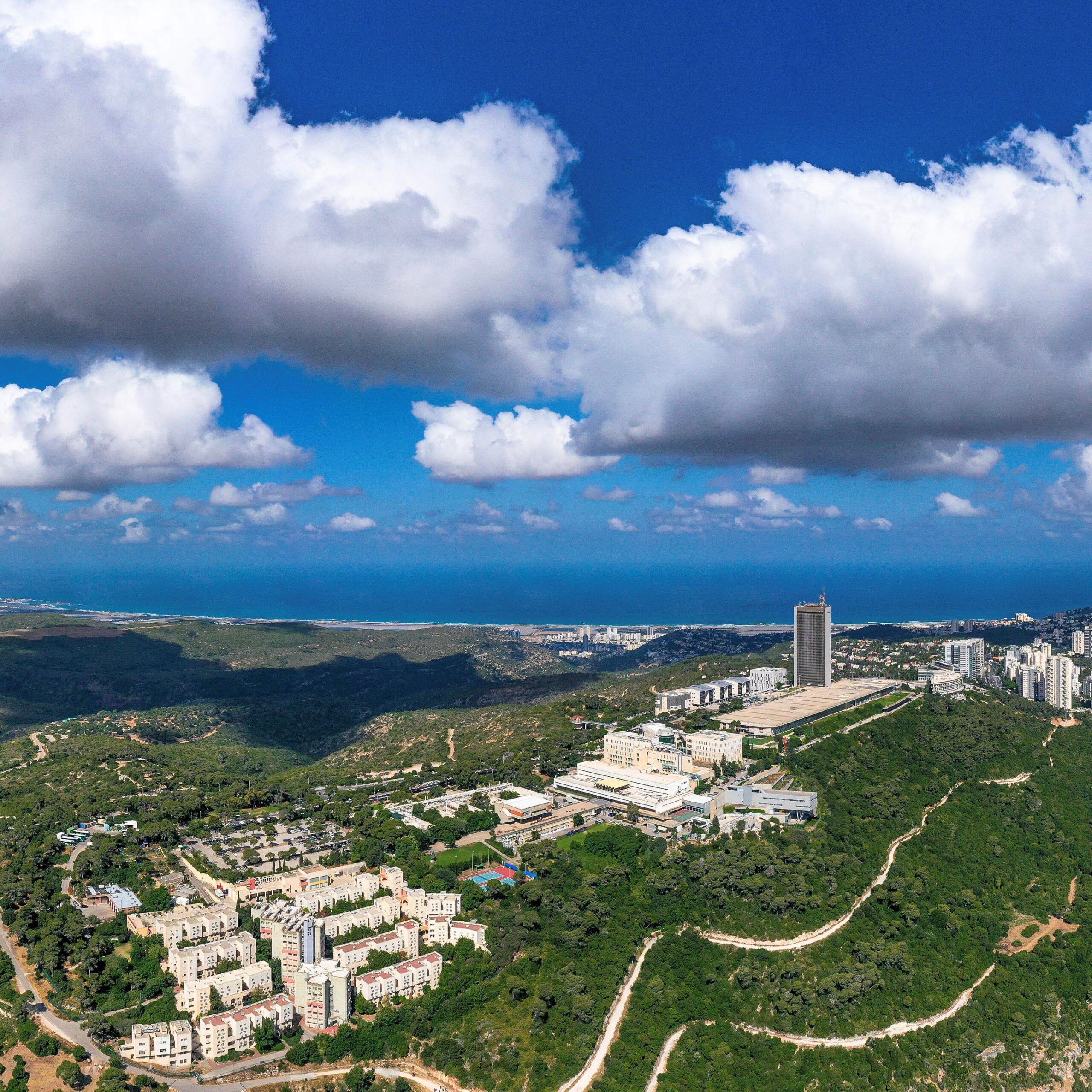 Read more about the article University of Haifa establishes new School of Archaeology