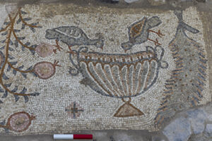 ציפורים שותות מגביע יין, מתוך הפסיפס, גן לאומי סוסיתא (צילום: ד"ר מיכאל איזנברג)