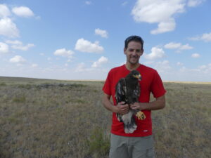 ד"ר רון אפרת עם עיט ערבות (צילום: יעל לנרד)