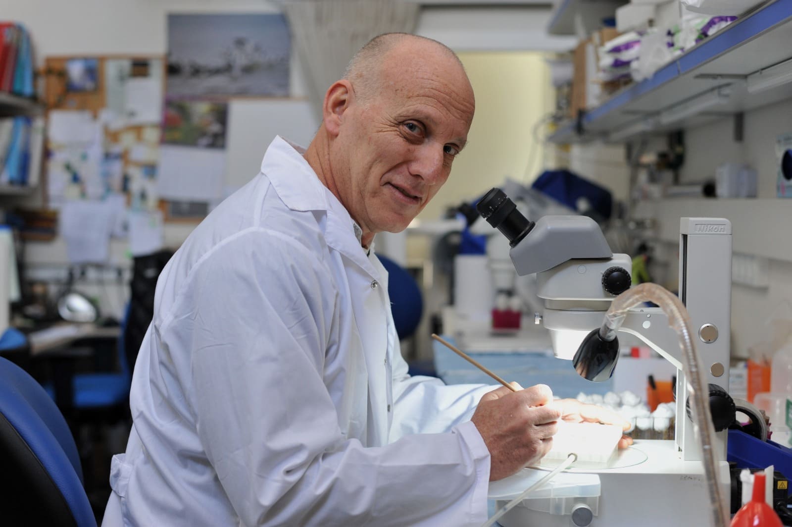 פרופ' ערן טאובר