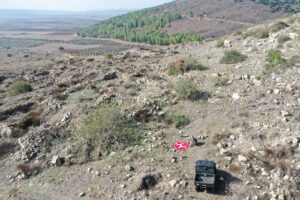 צילום: אראל עוזיאל