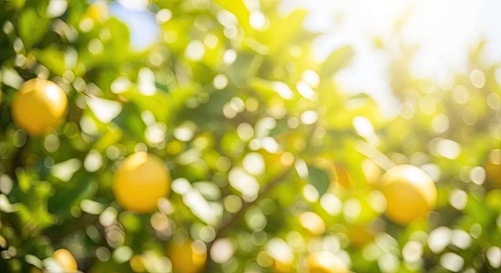 Read more about the article מורשת הבוסתן בקמפוס: קיימות, מחקר וקהילה במרחב ירוק אחד