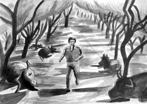 יותר ממטען אחד 2025 - עבודה של דן אלון