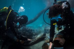 צלילה בספינה בחוף דור (צילום: ה. ברוס)