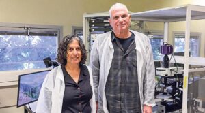 פרופ' אדי ברקאי וד"ר איריס ראובני. אפשרות לטפל הרבה אחרי האירוע (צילום: רועי חרמוני , אוניברסיטת חיפה)