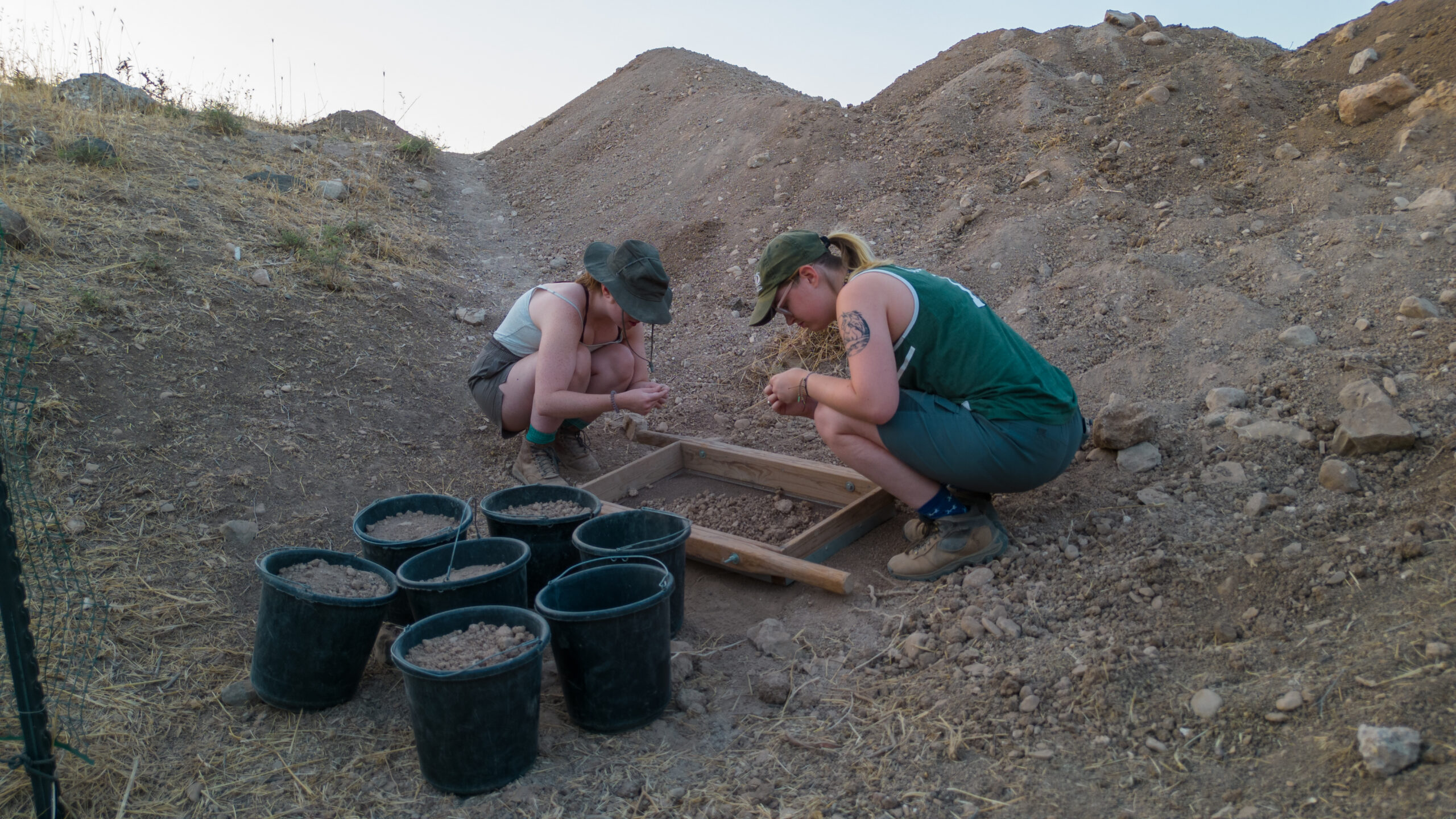 Read more about the article גבולות ממלכות ישראל וארם אפשרו תנועה חופשית לרועי צאן