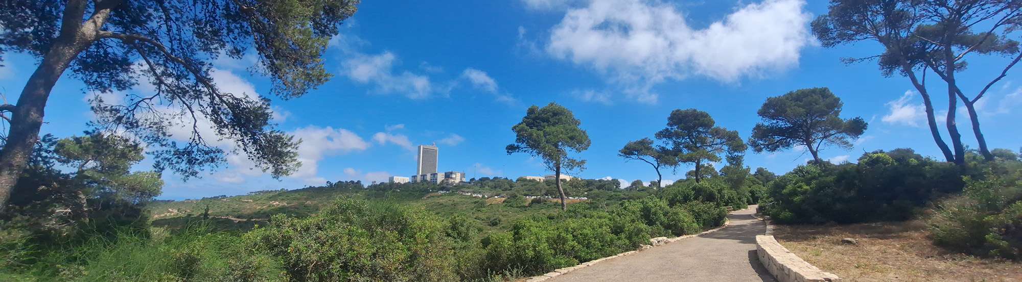 University of Haifa view
