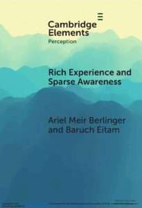 עטיפת הספר - Rich Experience and Sparse Awareness